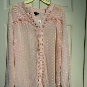 2XL Torrid Baby Pink Button Blouse